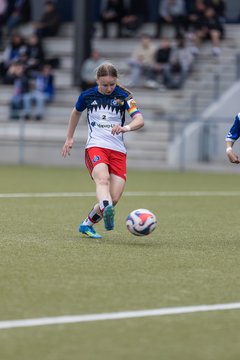Bild 176 - wBJ Hamburger SV - FC Suederelbe : Ergebnis: 9:0